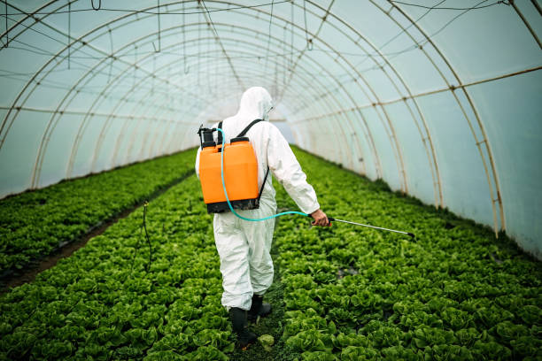 Best Affordable Pest Control Services  in Hinton, OK