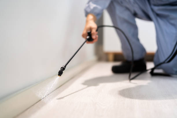 Best Pest Removal Services  in Hinton, OK