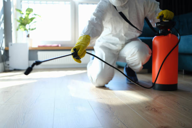 Best Flea Control Services  in Hinton, OK